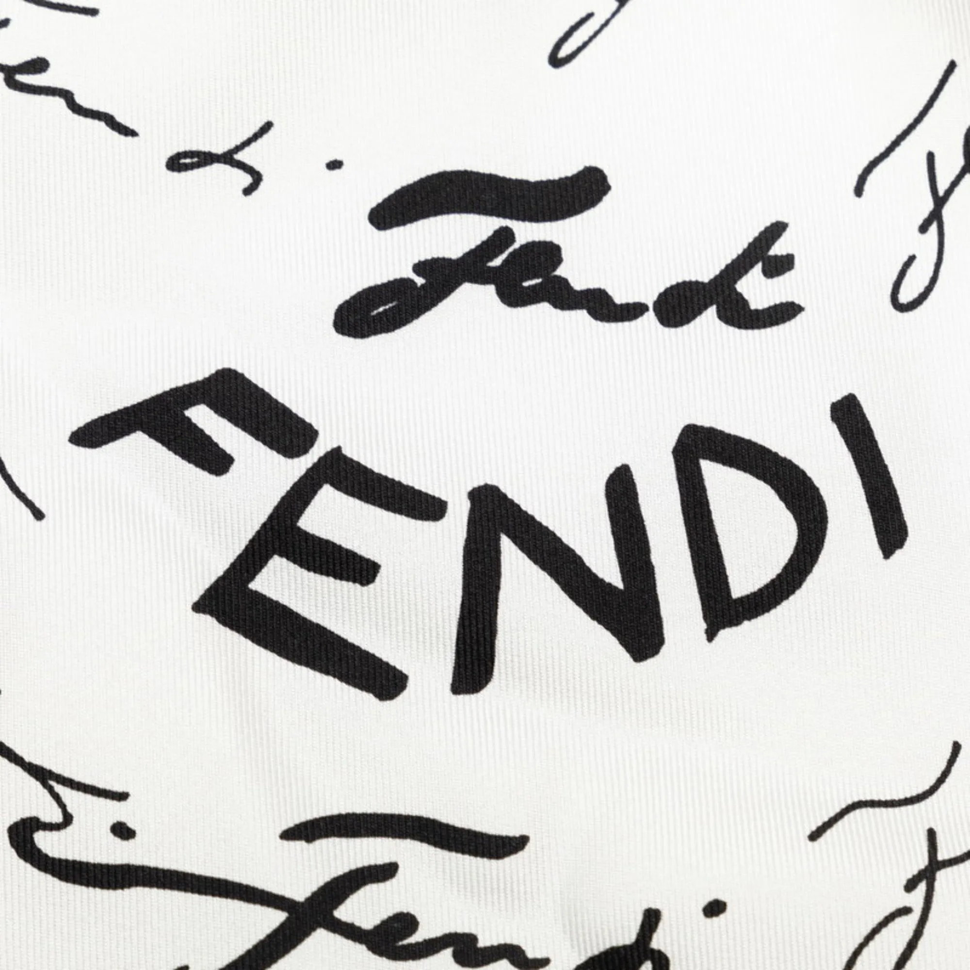 Fendi   Color  Silk Scarf ()